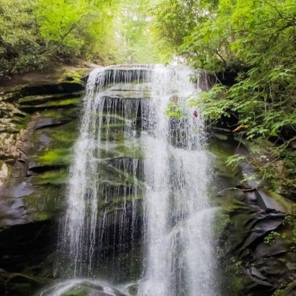 Meet your Posher, Shannon - Picture 1 of 1